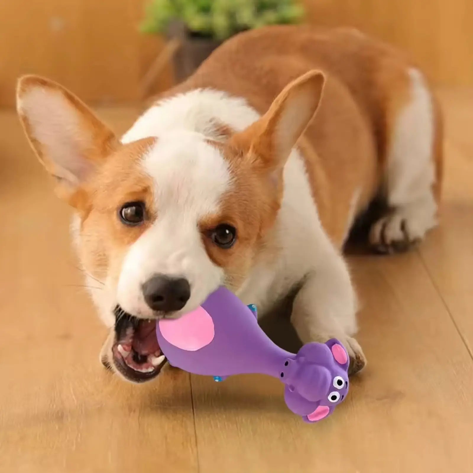 Latex Dog Squeaky Toys 4pc Durable Puppy Dental Chews