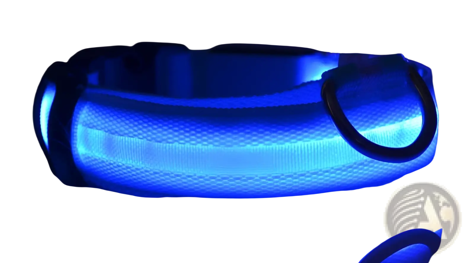 Led Dog Collar Night Safety Glowing Nylon Pet Leash