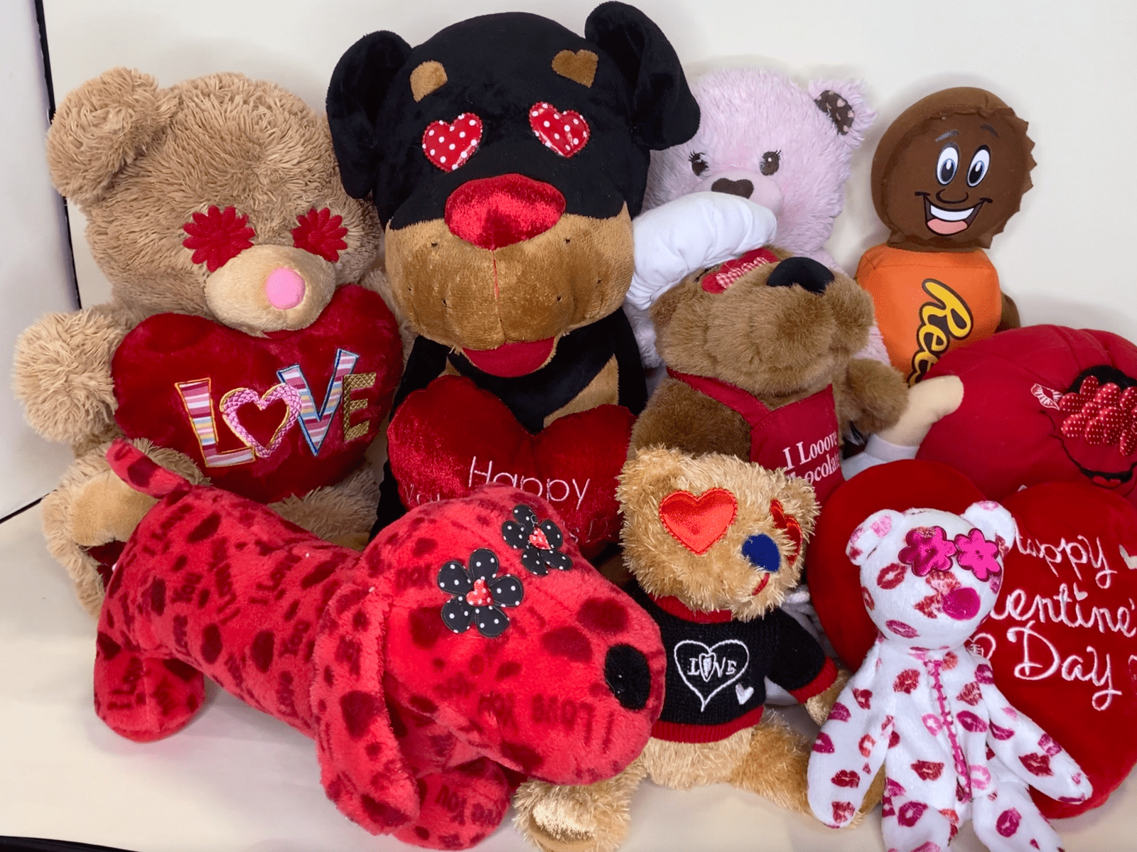 MEDIUM Hearts, Love & Candy Dog Toys Squeak & NO Squeak