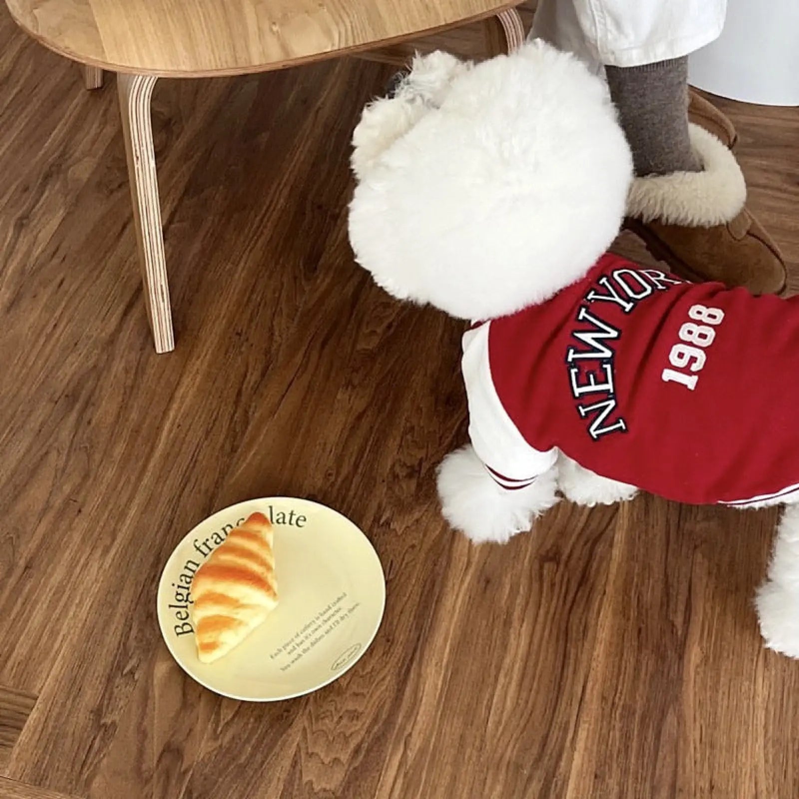 Pet Baseball Jacket Autumn Printed Dog Uniform