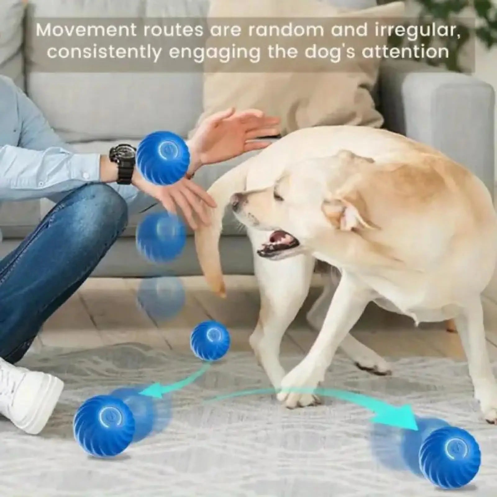 Pet Bouncing Ball for Cats and Dogs Blue and Orange
