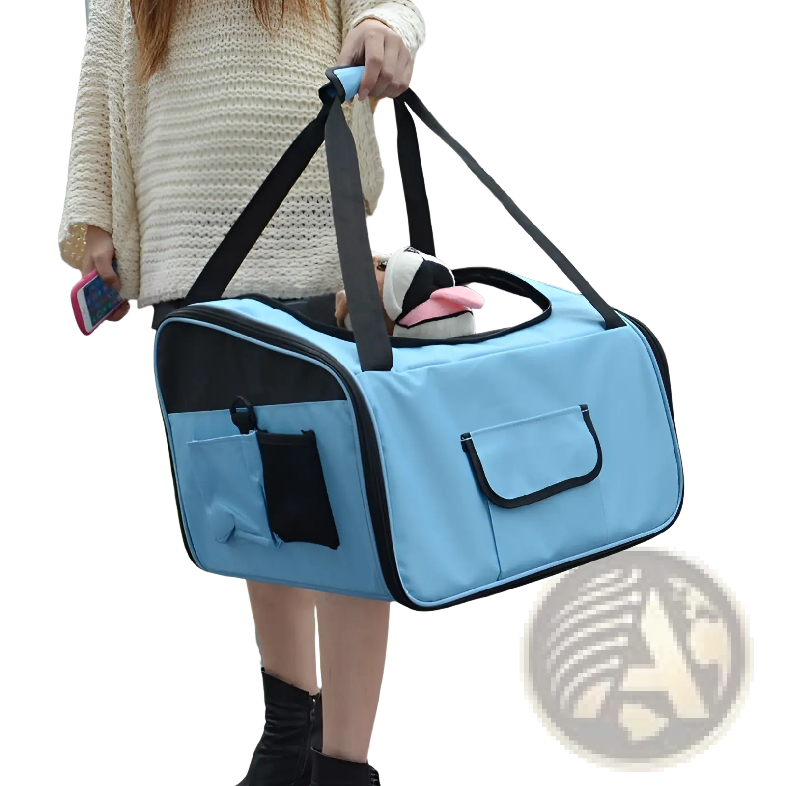 Pet Carrier Backpack for Small Dogs and Cats