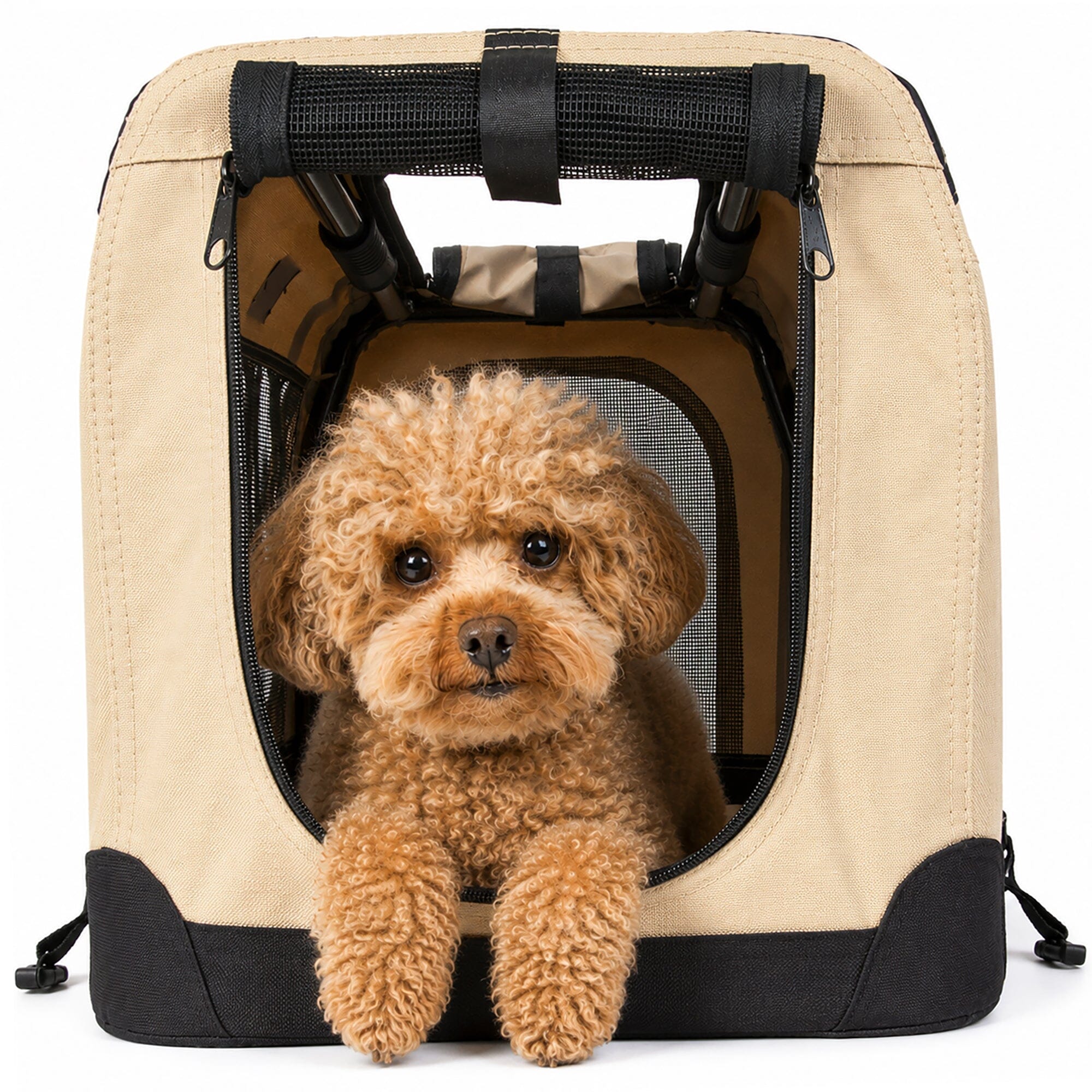 Pet Life ® &
