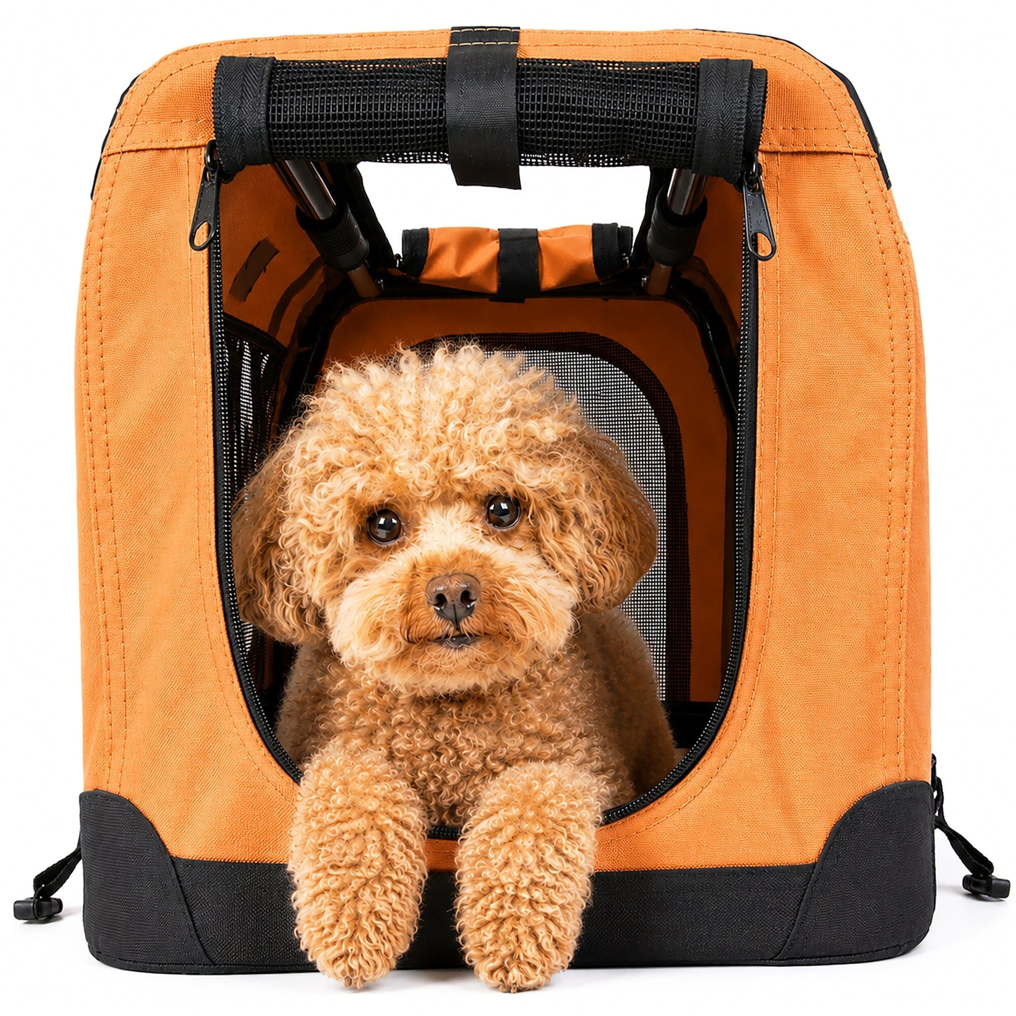 Pet Life ® &