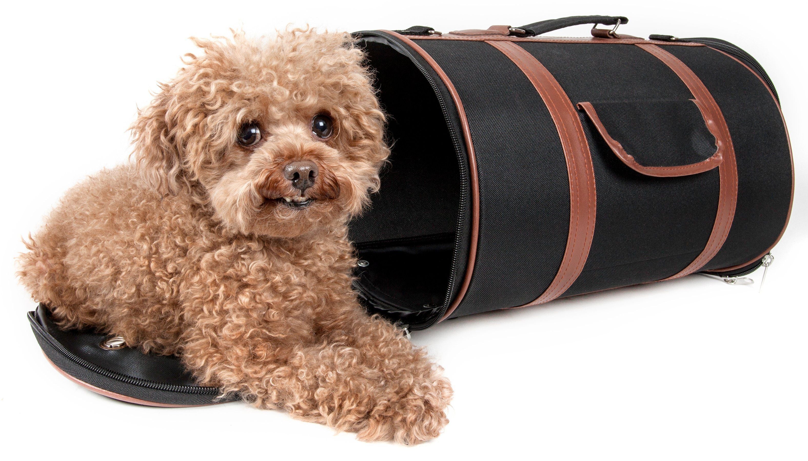 Pet Life ® &