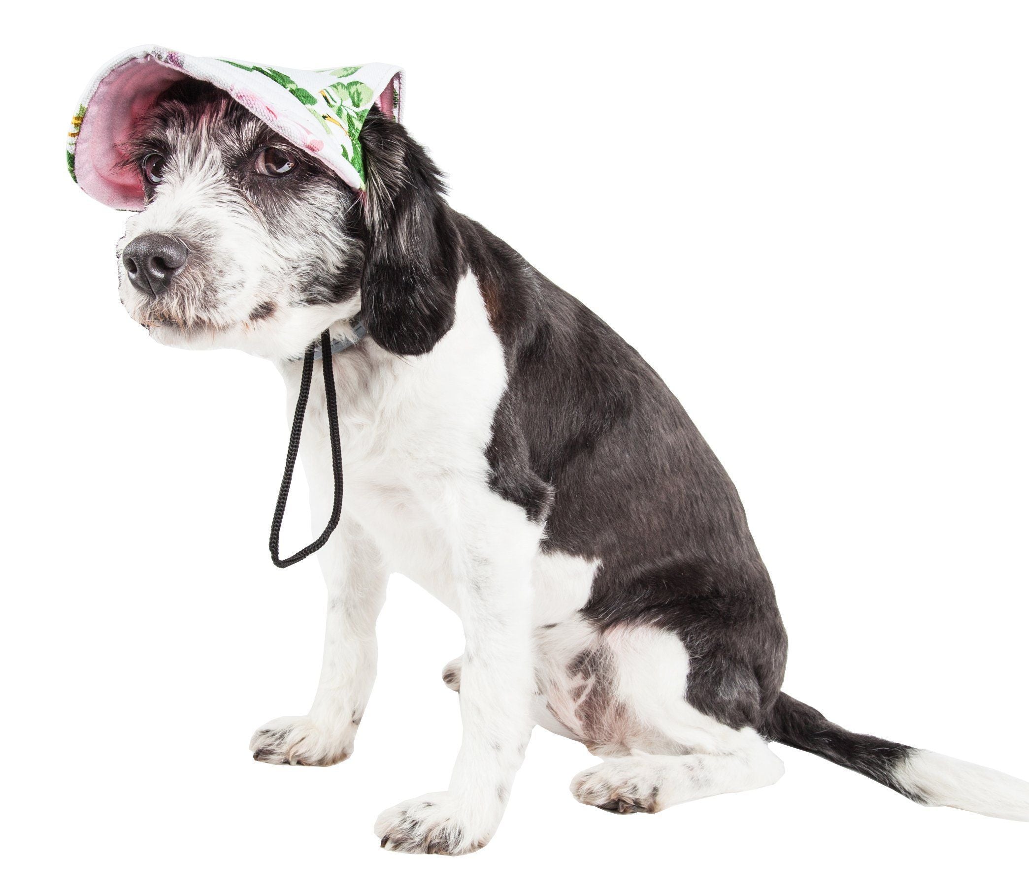Pet Life ® &