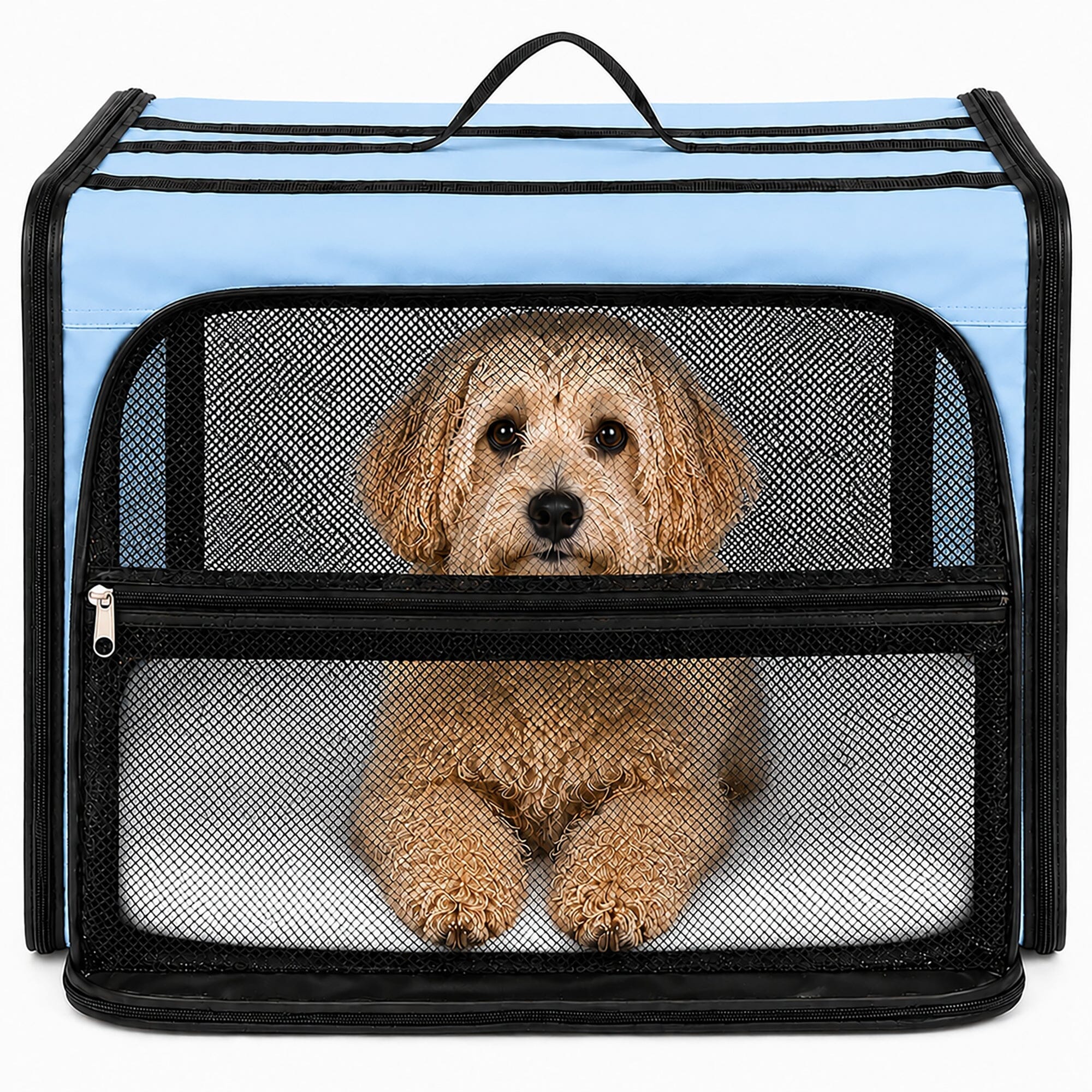 Pet Life ® &