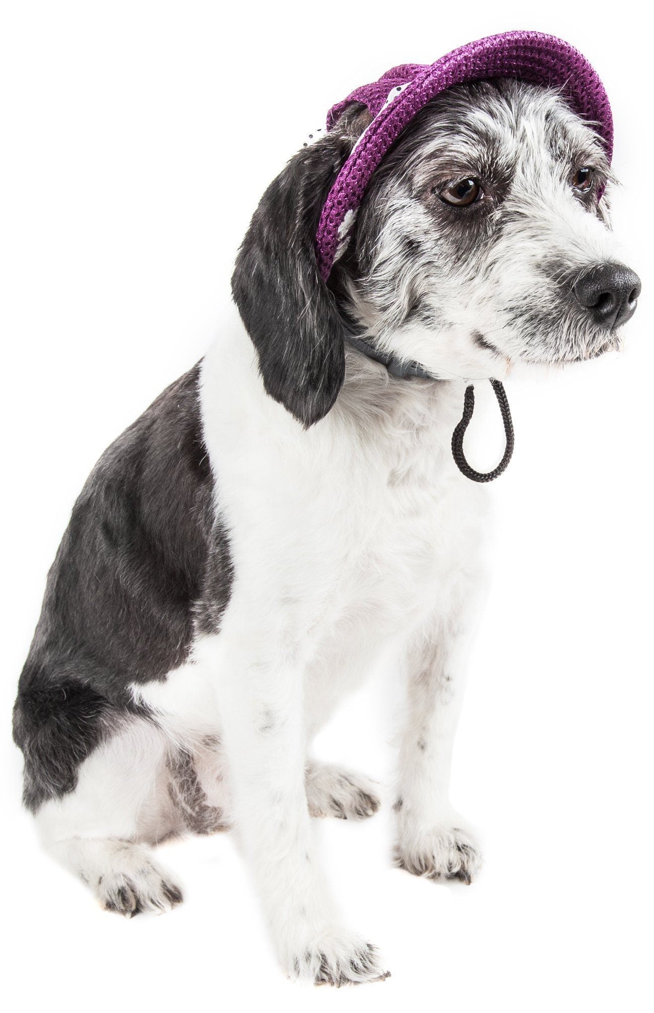 Pet Life ® &