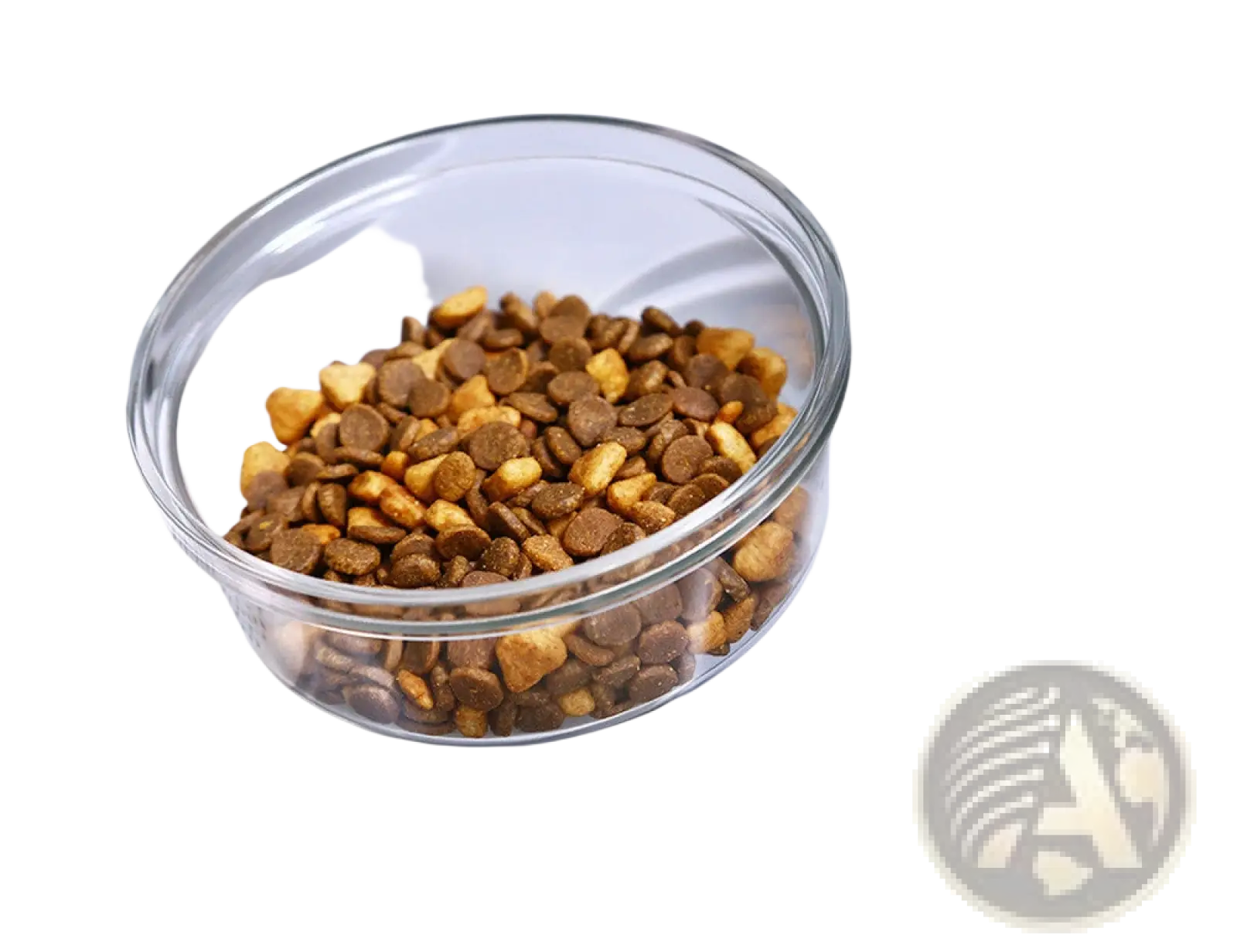 Pet Water Dispenser and Automatic Food Bowl Set