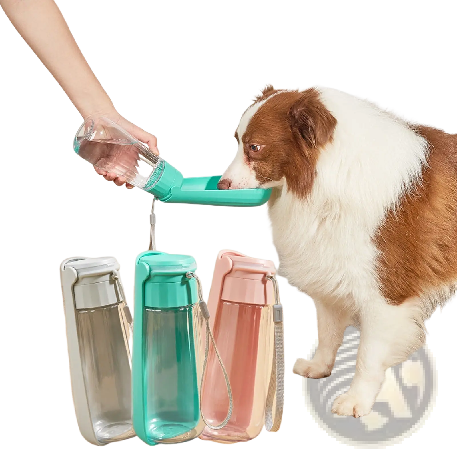 Portable Dog Water Bottle 550ml Folding Pet Travel Cup