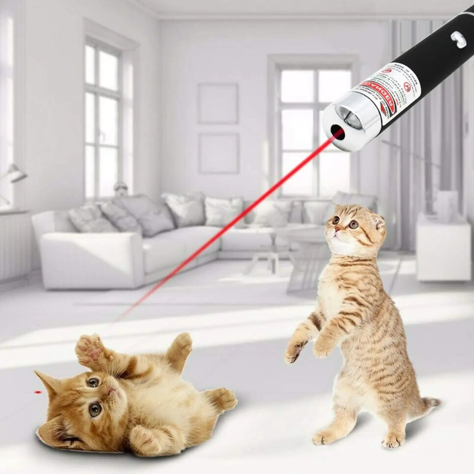 Red Laser Pointer Pen 650nm Teaching Pet Toy 10 Pack