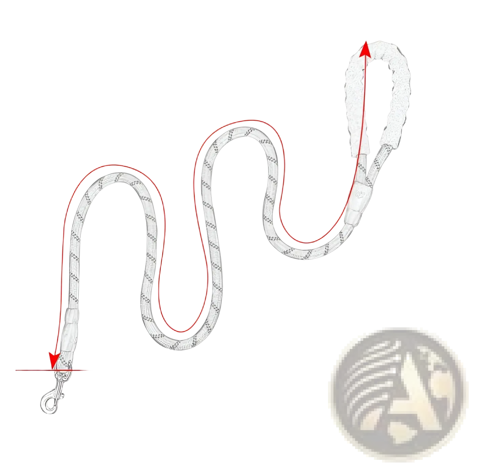 Reflective Dog Leash with Padded Foam Comfort Handle