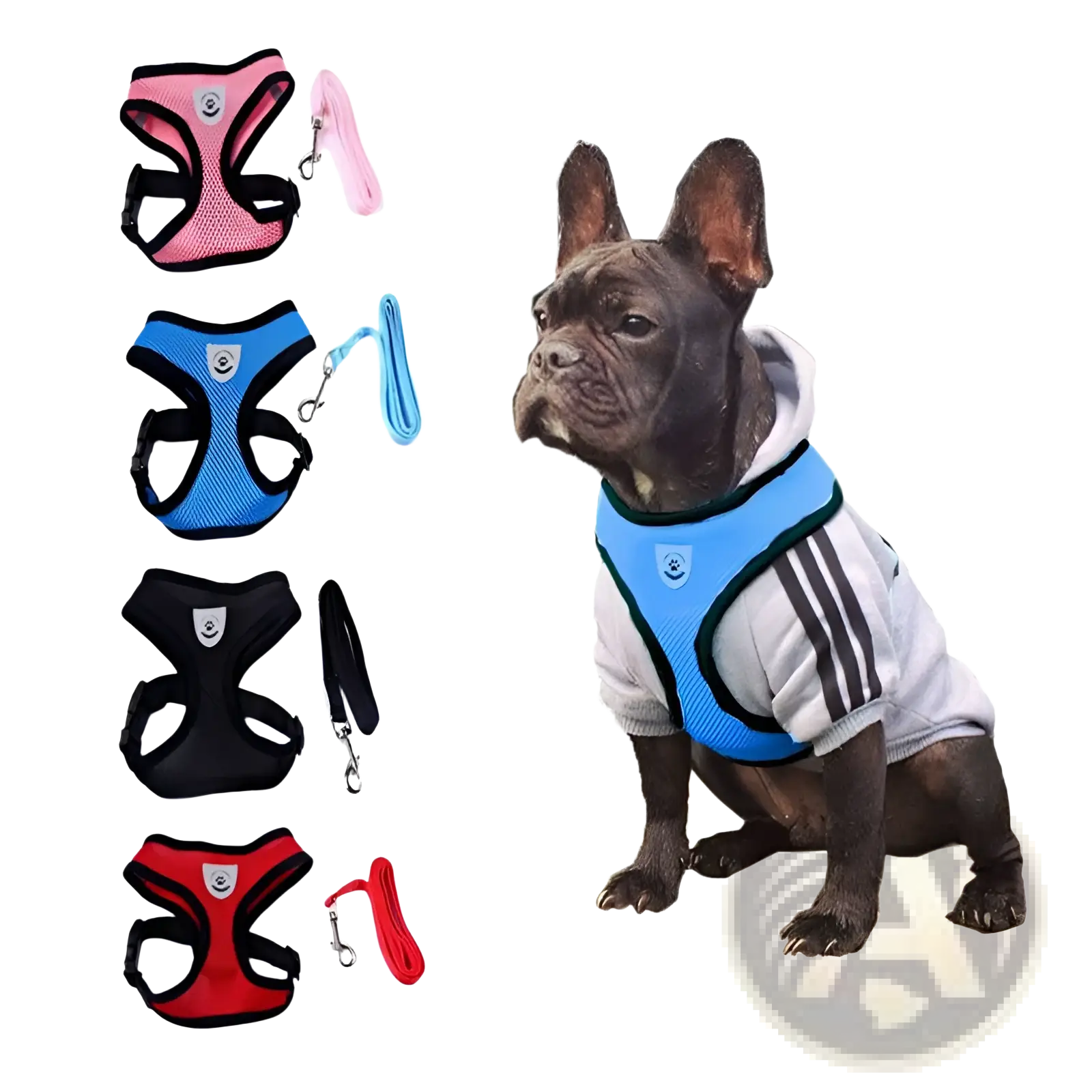 Reflective Mesh Dog Harness with Leash Set