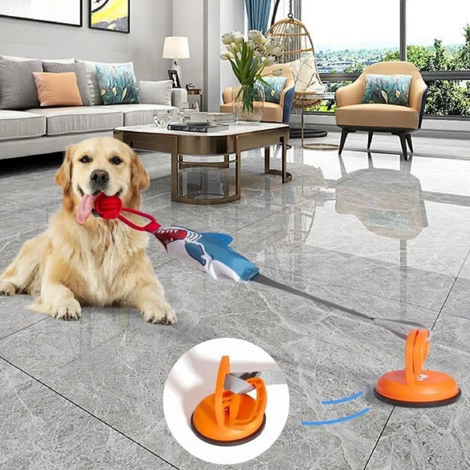 Shark Dog Toy with Suction Cup and Interactive Rope Ball