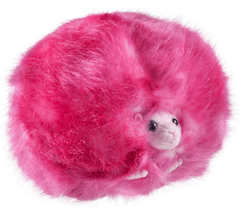 Small Squeaky & NO Squeak &