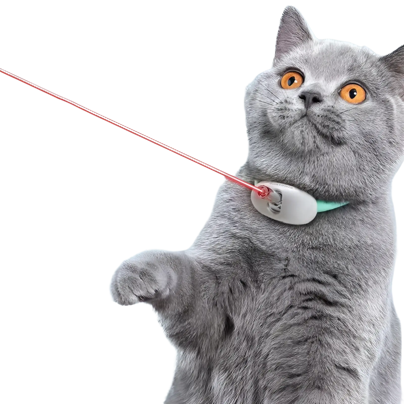 Smart Laser Cat Collar Interactive Usb Training Toy