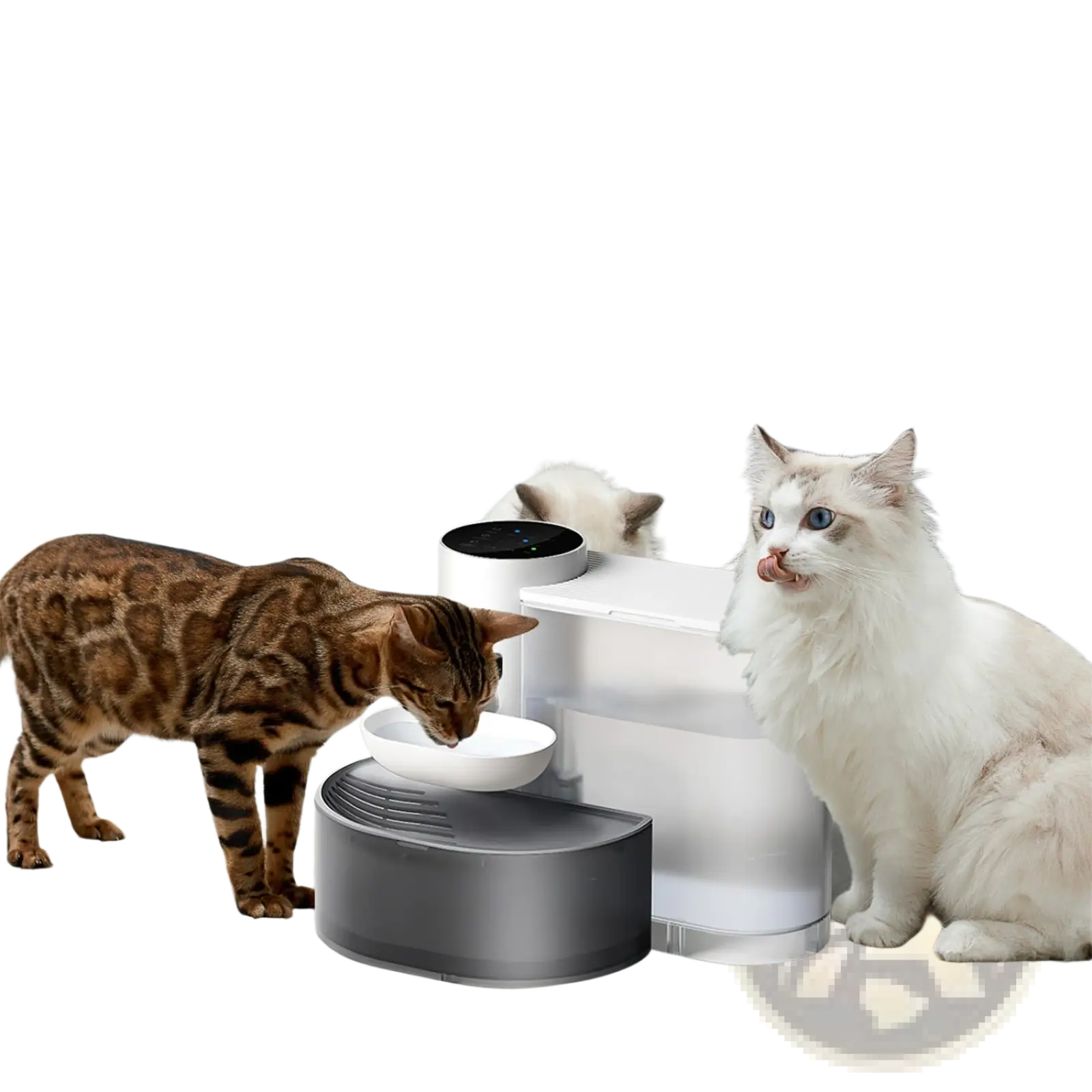 Smart Pet Water Fountain 3l Cordless Rechargeable Bowl