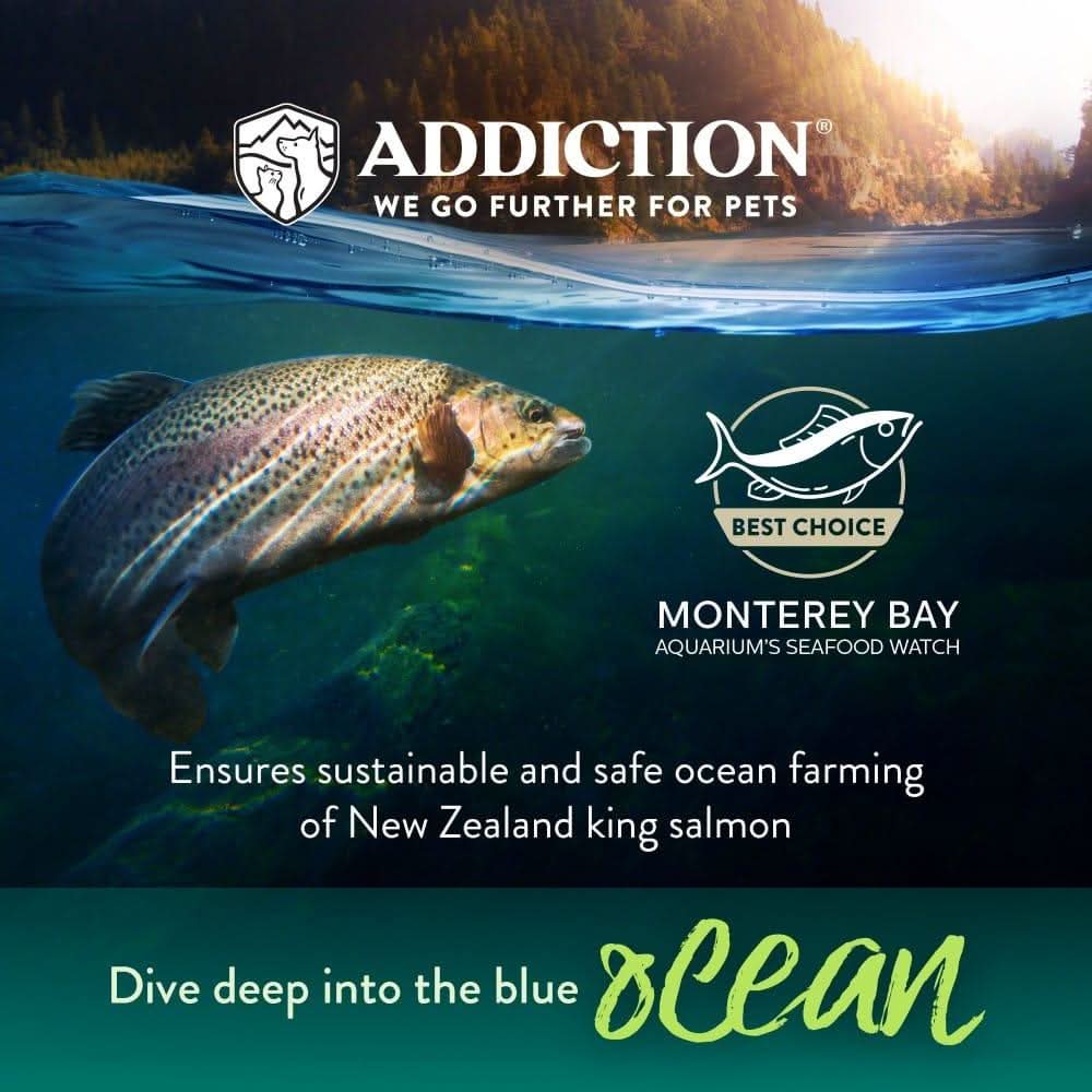 Salmon Bleu Dry Cat Food