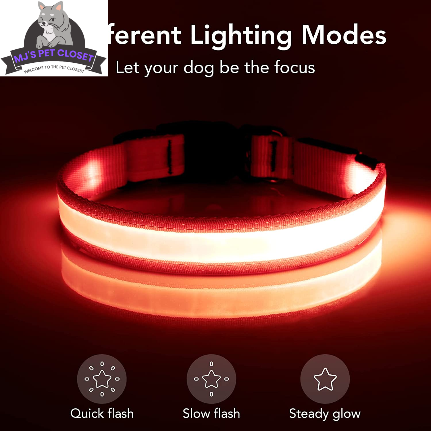 Brighten up your pup&