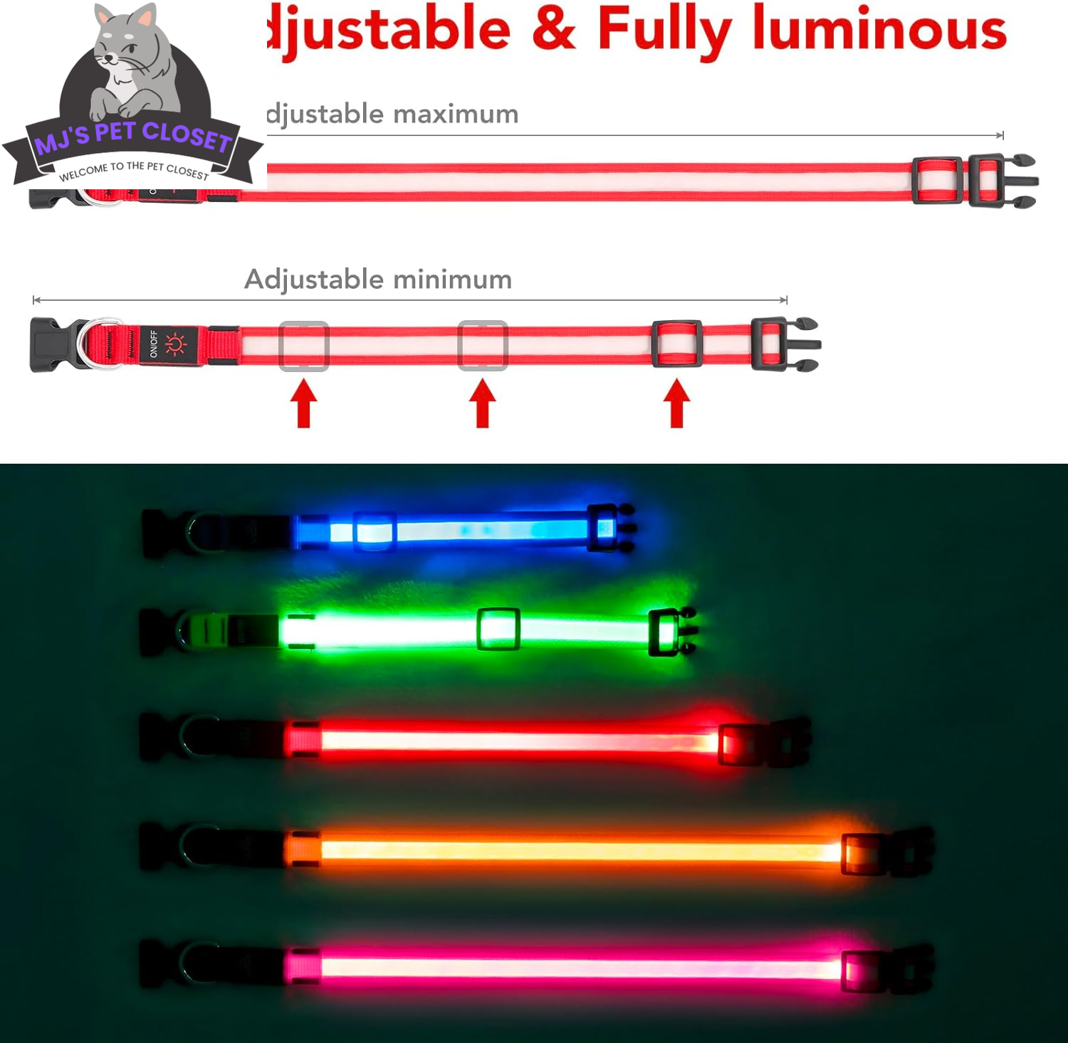 Brighten up your pup&