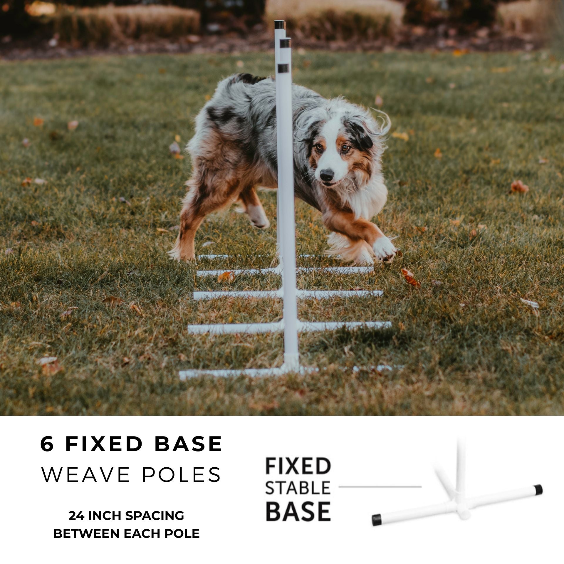 Better Sporting Dogs Upgraded Dog Agility Set – 5 Piece Training Kit with Safety Breakaway Tire Jump, Displacement Bar Jump, Tunnel, Weave Poles & Pause Box