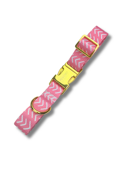 Archer Collar