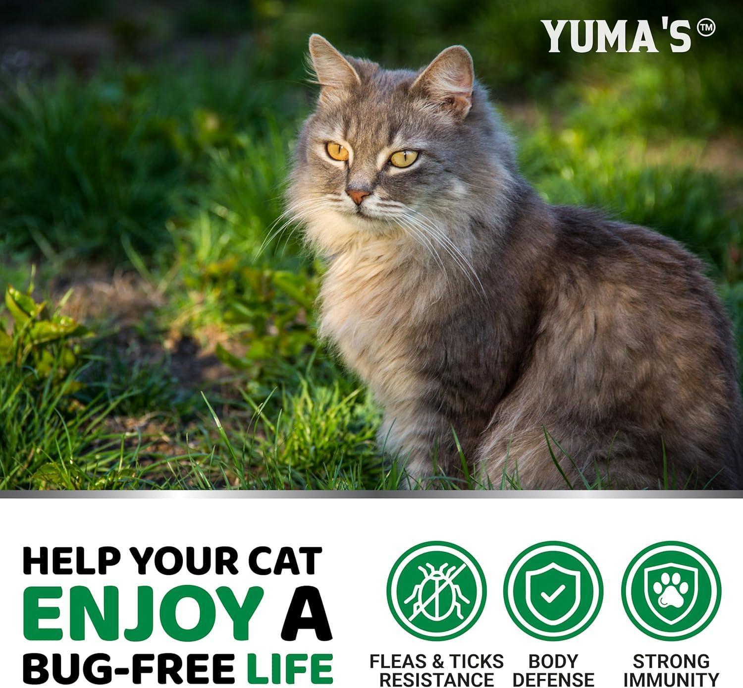 Flea &amp; Tick Chews for Cats
