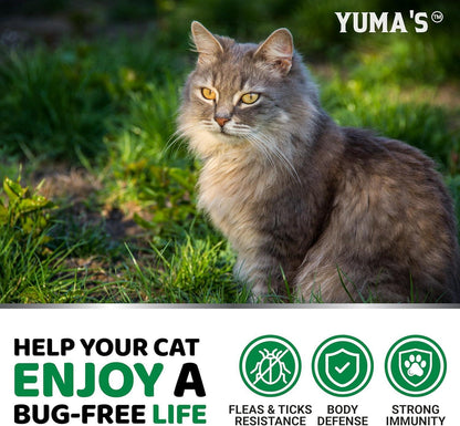 Flea &amp; Tick Chews for Cats