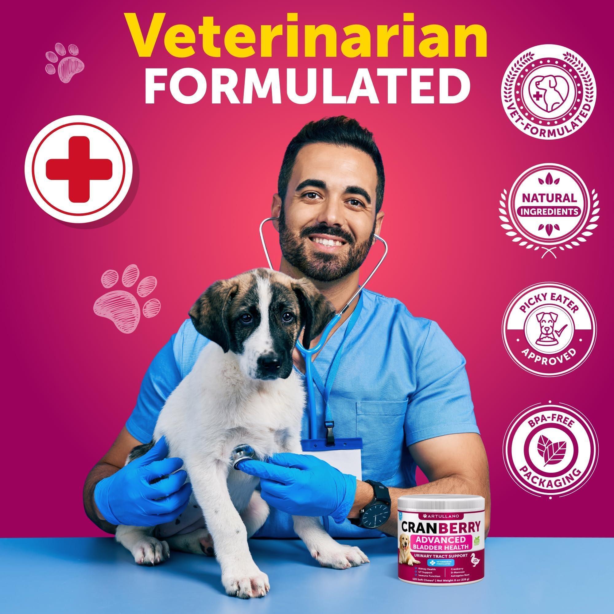 Dog UTI Treatment 240 Chews 2-Pack Cranberry Bladder &amp; Kidney Support
