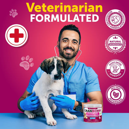 Dog UTI Treatment 240 Chews 2-Pack Cranberry Bladder &amp; Kidney Support