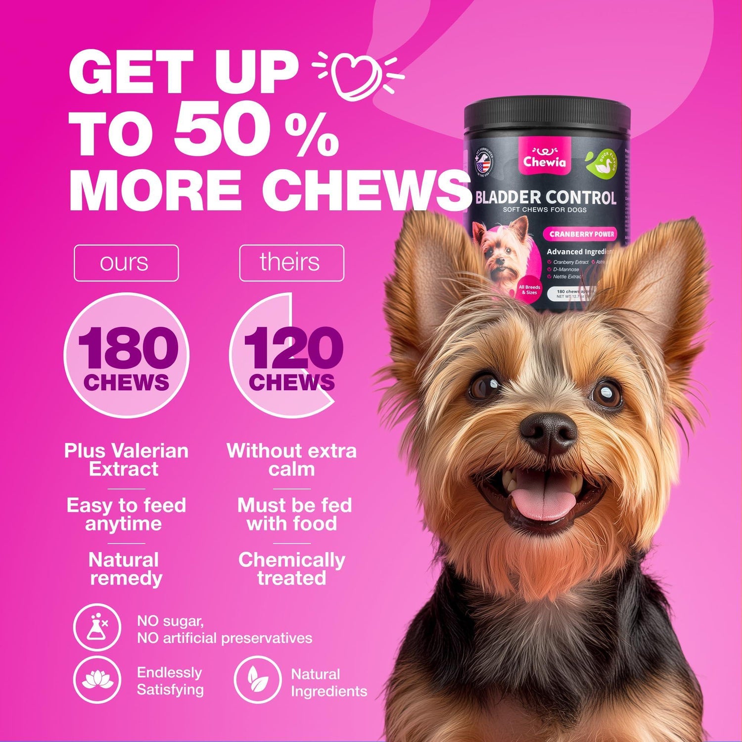 Dog UTI Treatment Cranberry Supplement Bladder &amp; Kidney Health