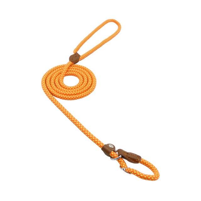 Nylon Pup Set – Premium Dog Collar &amp; Leash | Reinforced Stitching, Soft Adjustable Fit &amp; Modern Style