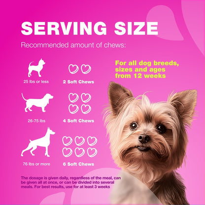 Dog UTI Treatment Cranberry Supplement Bladder &amp; Kidney Health