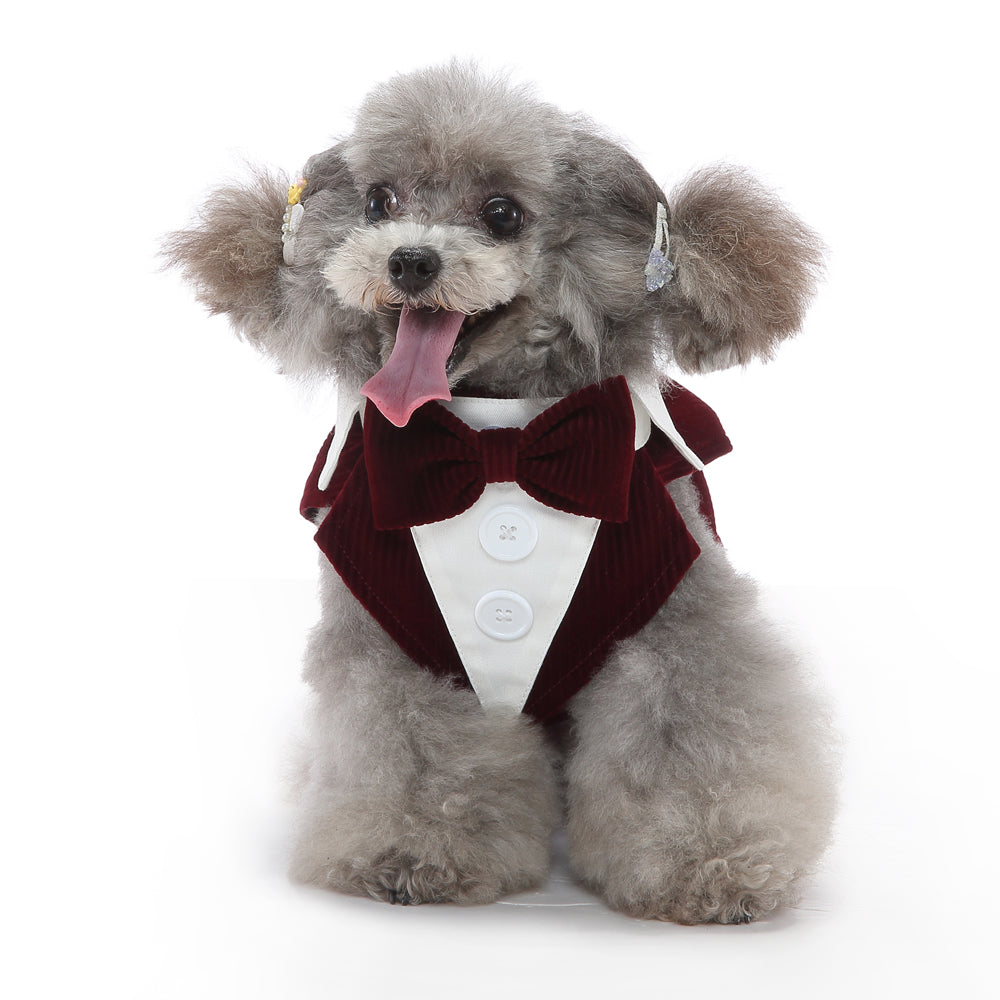 Dog Polo Shirt — 12 Colors &amp; Patterns, Sizes XS–XL