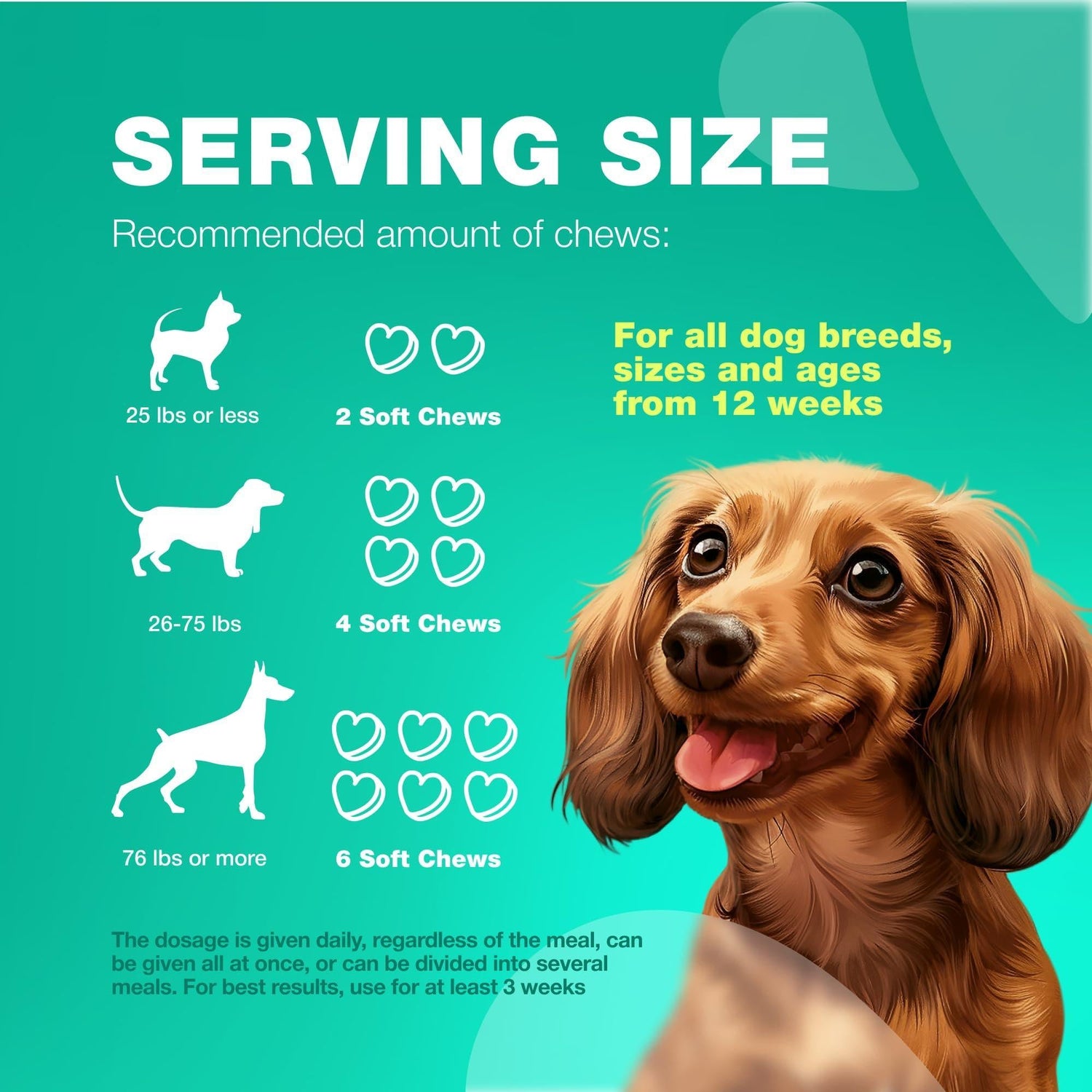 Probiotics for Dogs Digestive Enzymes Gut Health Pumpkin &amp; Yeast Powder