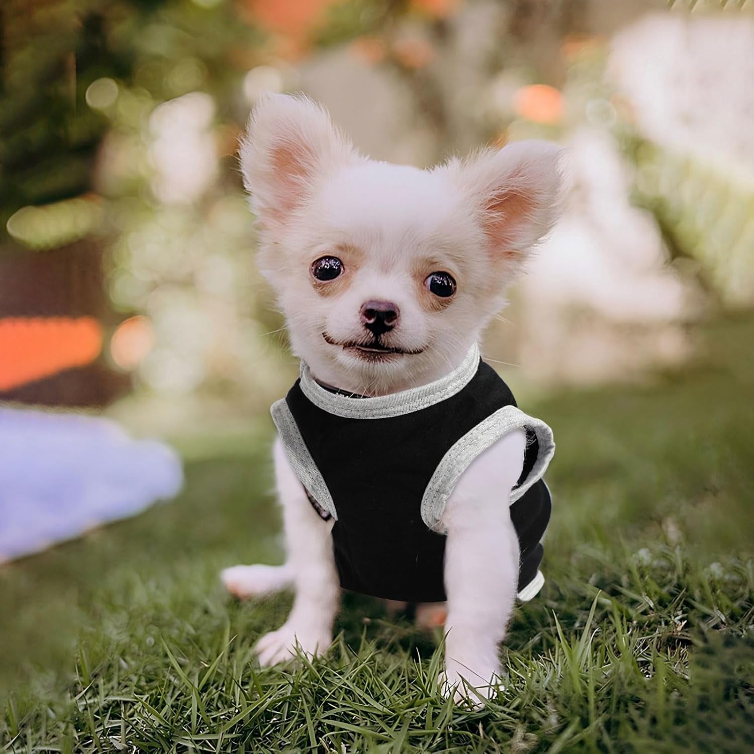 Small Dog Shirts — Cute Puppy Clothes for Chihuahua, Yorkie &amp; Small Breeds | 4-Pack