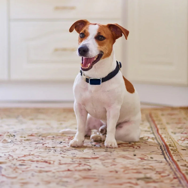 G12 Smart GPS pet tracker: Mini, waterproof, anti - loss collar for dogs &amp; cats