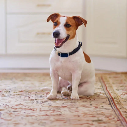 G12 Smart GPS pet tracker: Mini, waterproof, anti - loss collar for dogs &amp; cats