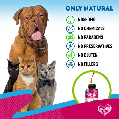 Cat &amp; Dog UTI Treatment Drops Cranberry Urinary Support