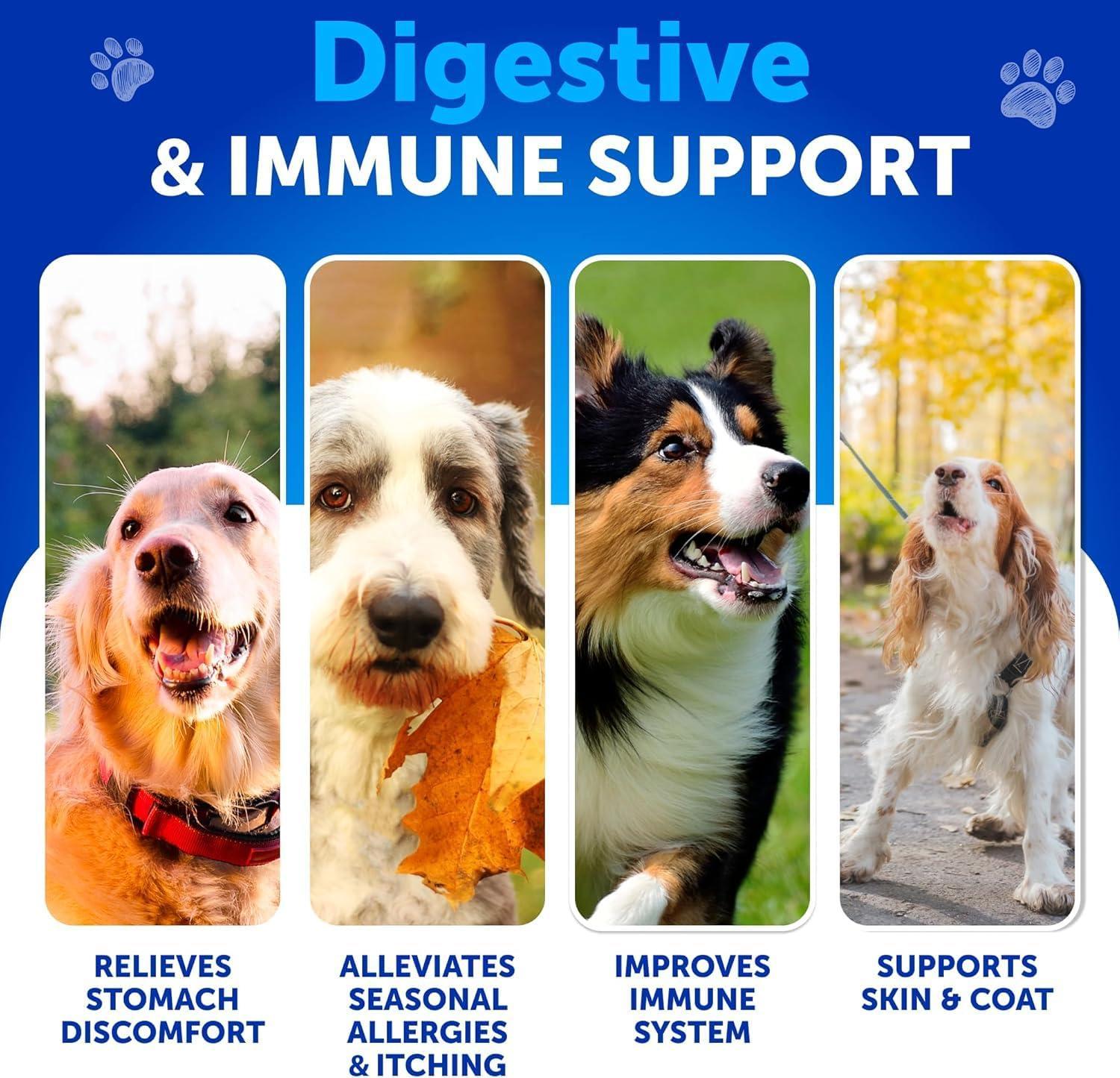 Probiotics for Dogs 70 Chews Duck Flavor Gut Health &amp; Prebiotics