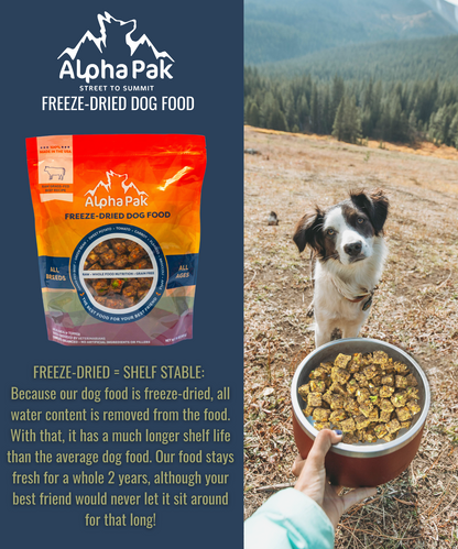 Freeze-Dried Raw Beef — Formulated for Dog Longevity