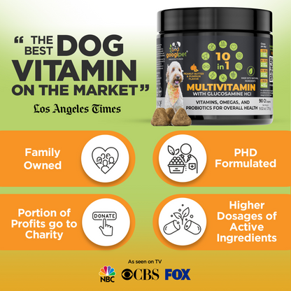 10 in 1 Multivitamin Chews for Dogs (Peanut Butter &amp; Pumpkin Flavor)