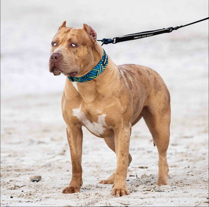 Bestia Dog Sport GripPro Print Collar - Blue&amp;Green