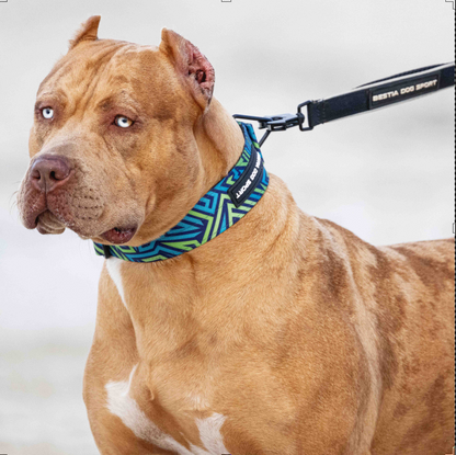 Bestia Dog Sport GripPro Print Collar - Blue&amp;Green