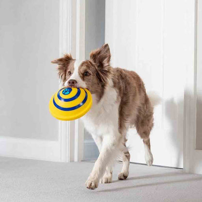 Sounding Disc Woof Glider Soft &amp; Safe Indoor Pet Dogs Play Toy Pets Unique Interacts Entertainment Toys