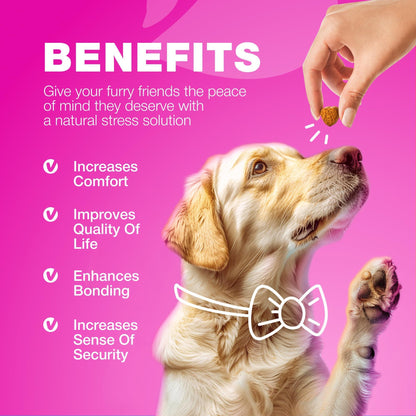 Dog UTI Treatment Cranberry Supplement Bladder &amp; Kidney Health