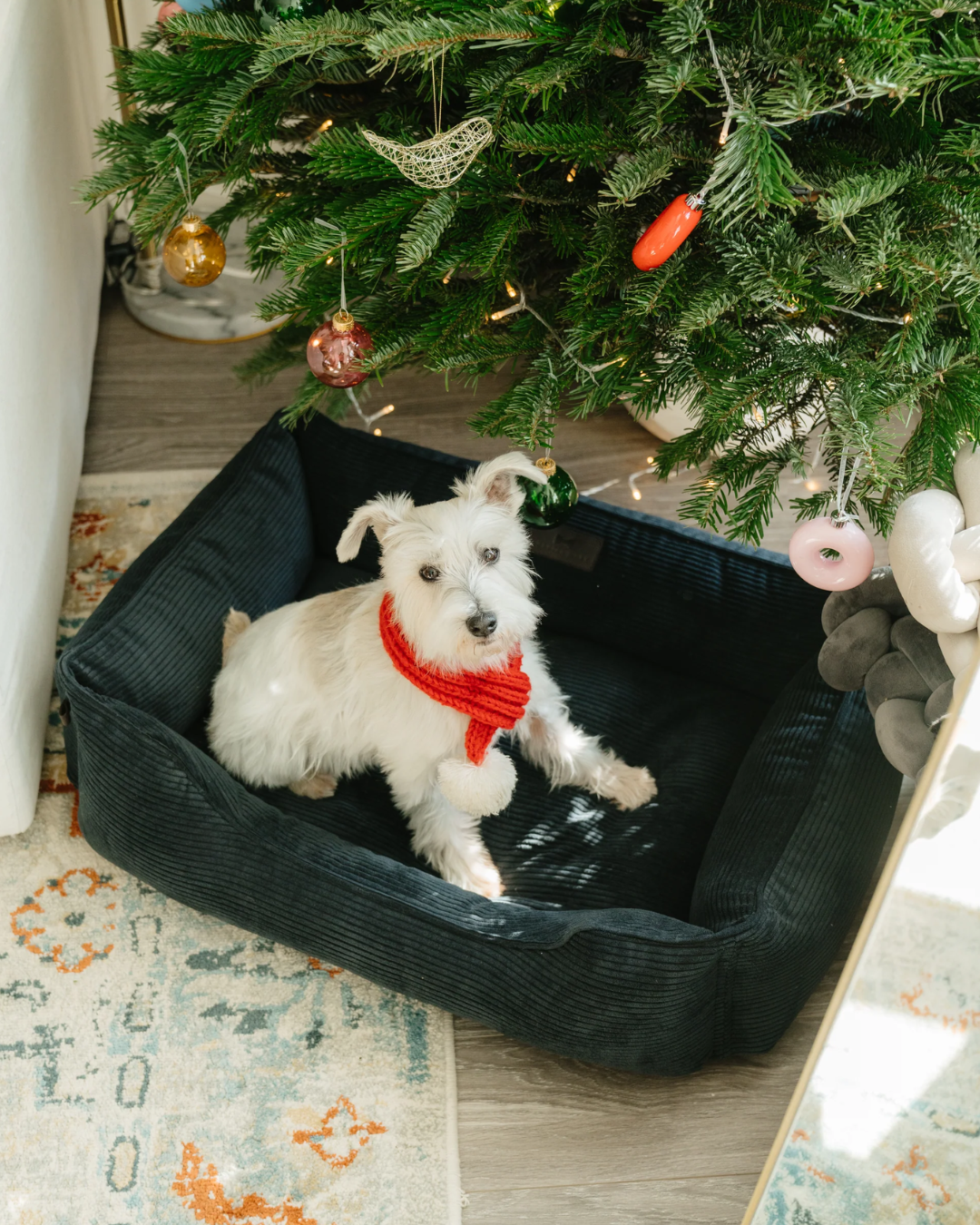 Chester &amp; Lee | Fancy Corduroy Sleeper Dog Bed Graphite