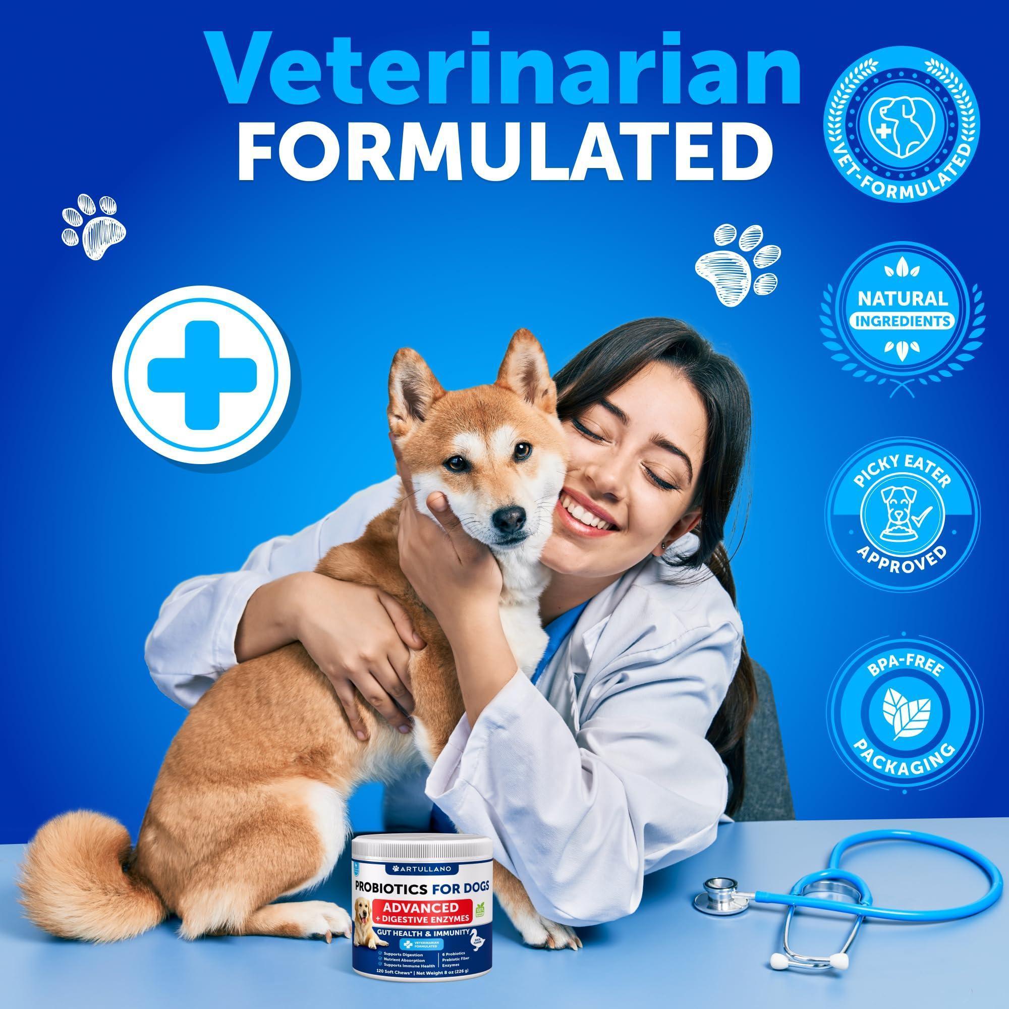 Probiotics for Dogs 240 Count 2-Pack Digestive Enzymes &amp; Prebiotics Gut Health