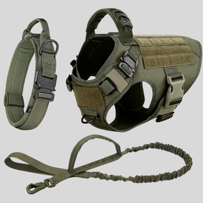 Large Dog Harness &amp; Leash Set – Training Vest for Big Breeds