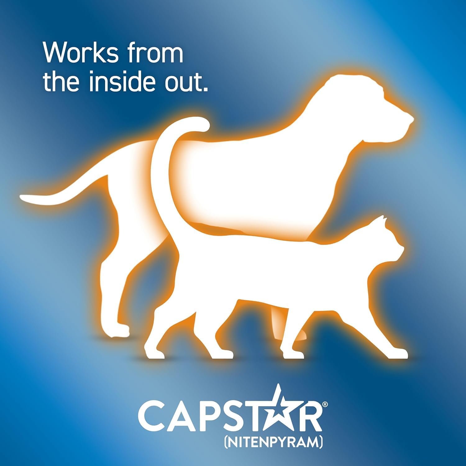 Capstar Fast-Acting Oral Treatment for Dogs &amp; Cats 2-25 lb 6 Doses Fast Acting